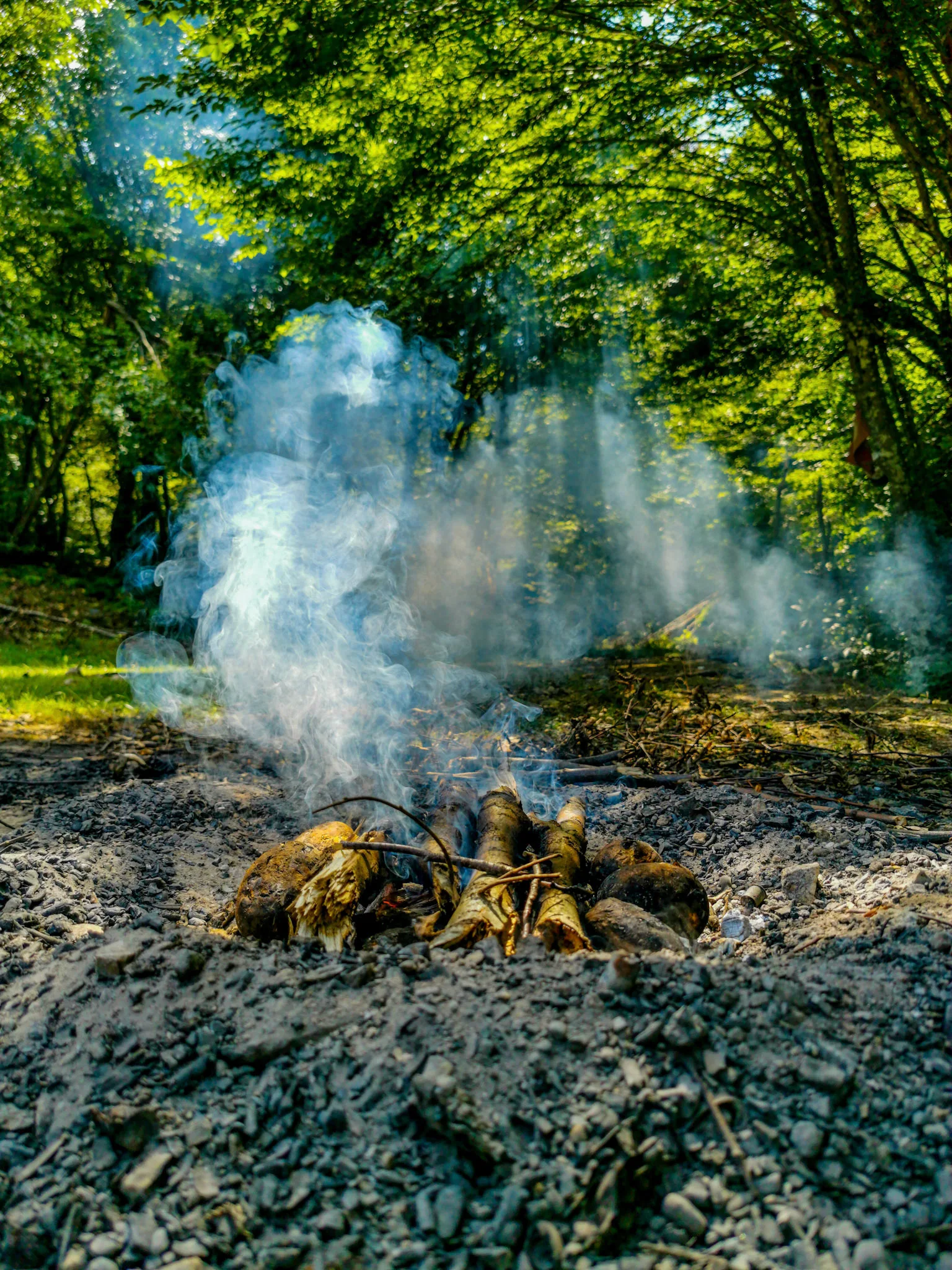 Adobe Lightroom ile düzenlenmiş fotoğraf — Fotoğraf, görsel 4